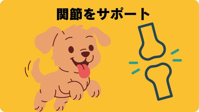 グランツドッグフード