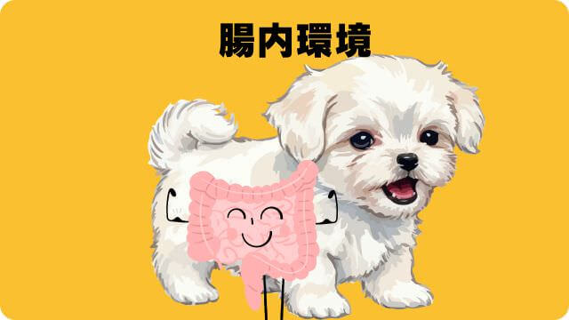 グランツドッグフード