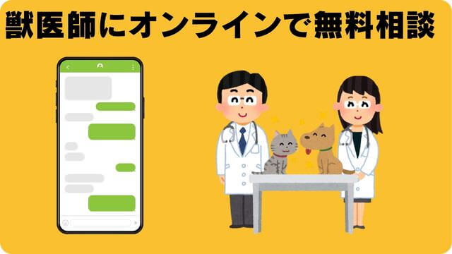 グランツドッグフード