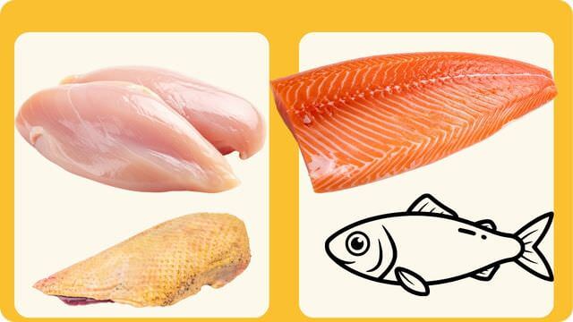 グランツドッグフード