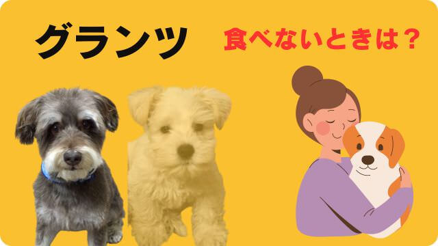 グランツドッグフード