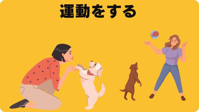 グランツドッグフード