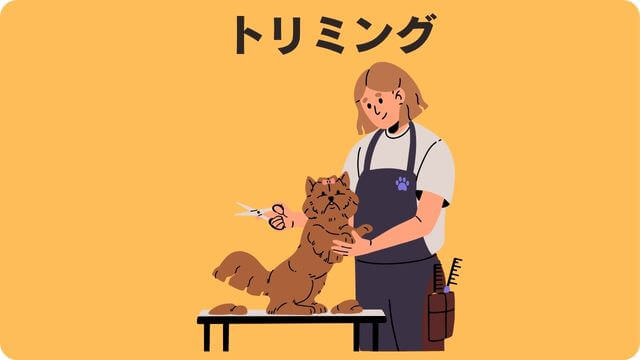 ミニチュアシュナウザー が抜け毛が少ない