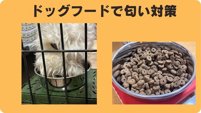 ミニチュアシュナウザー が抜け毛が少ない