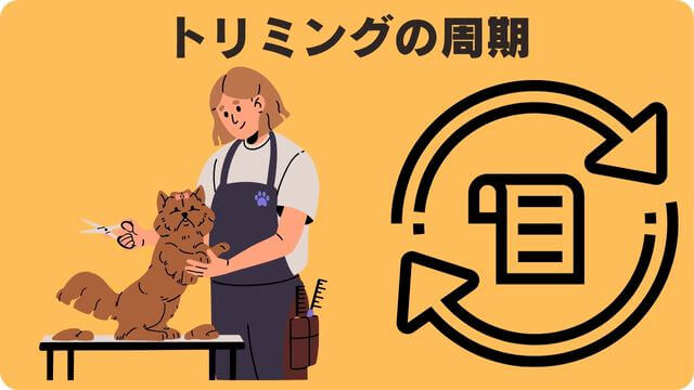 ミニチュアシュナウザー が抜け毛が少ない