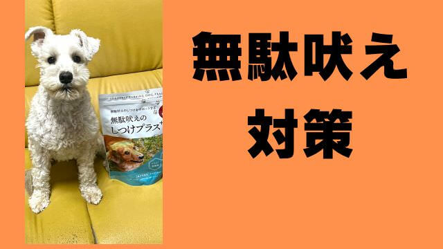 ミニチュアシュナウザー が飼うと大変