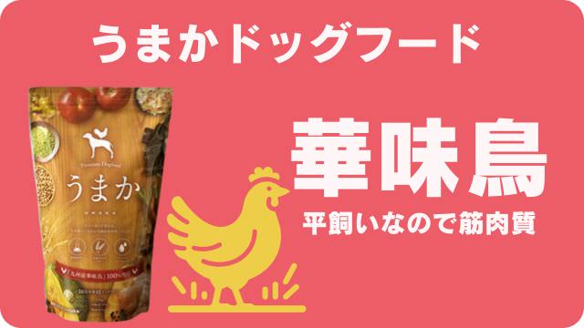 国産ドッグフードランキング
