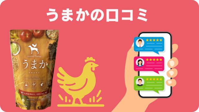 国産ドッグフードランキング