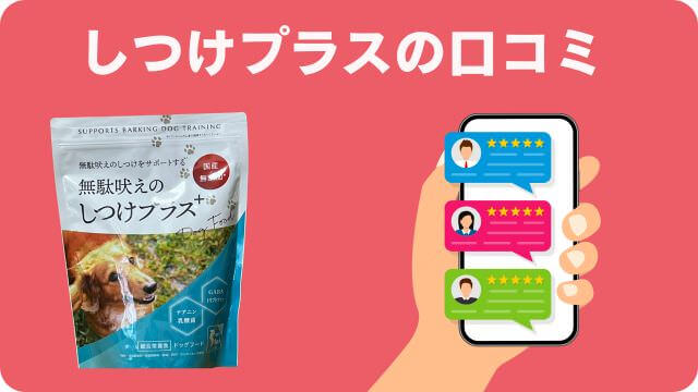 国産ドッグフードランキング