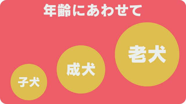 国産ドッグフードランキング