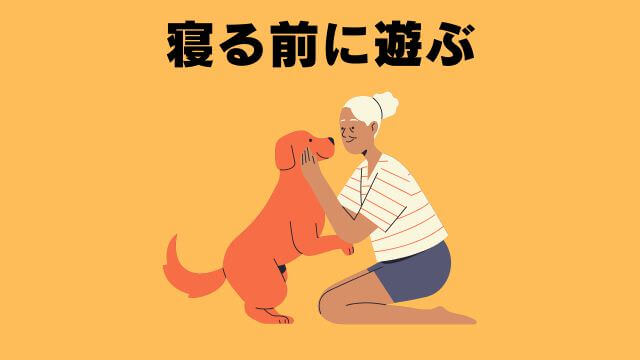 老犬の睡眠時間