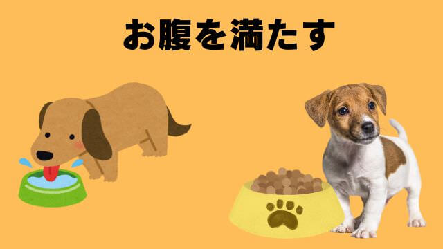 老犬の睡眠時間