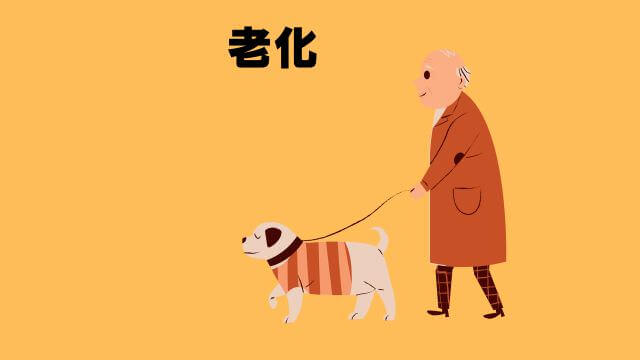 老犬の睡眠時間