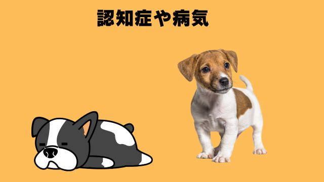 老犬の睡眠時間