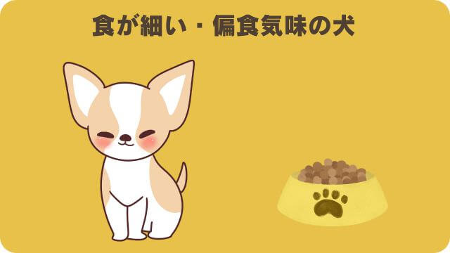ミシュワン小型犬用とドクターケアワンドッグフード