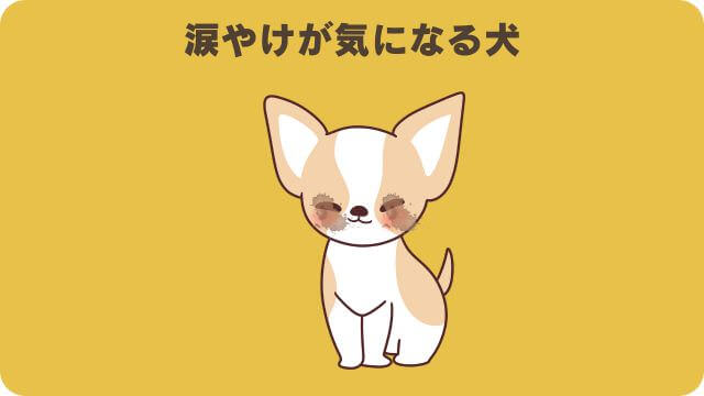 ミシュワン小型犬用とドクターケアワンドッグフード