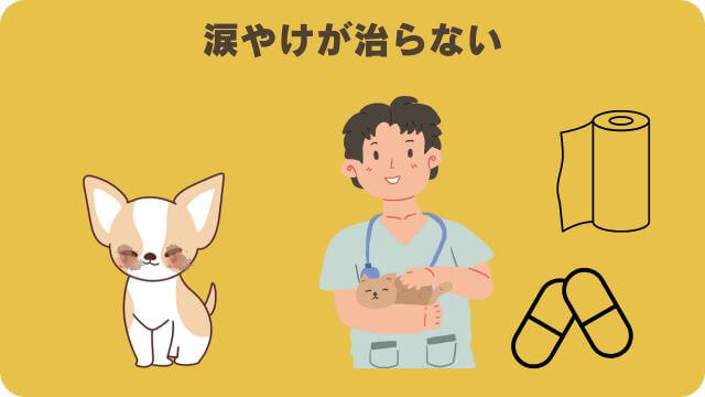 ミシュワン小型犬用とドクターケアワンドッグフード