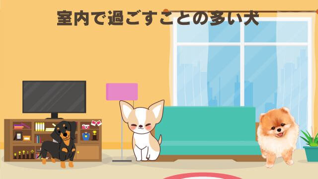 ミシュワン小型犬用ドッグフードとしつけプラス