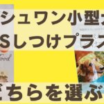 ミシュワン小型犬しつけプラス