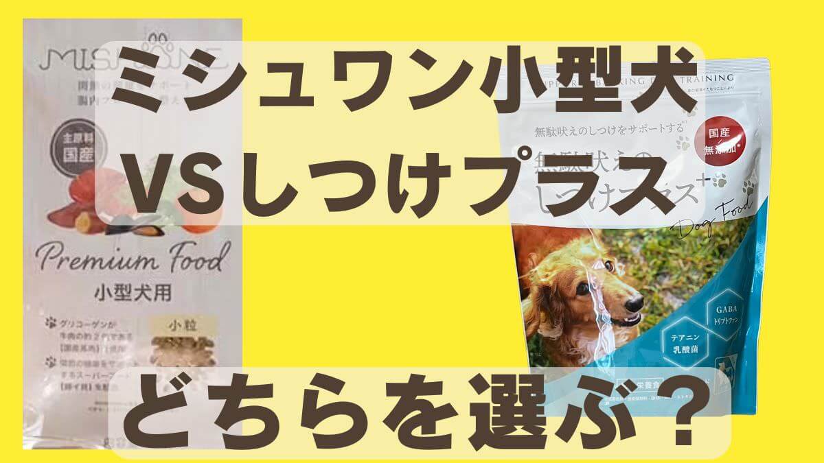 ミシュワン小型犬しつけプラス