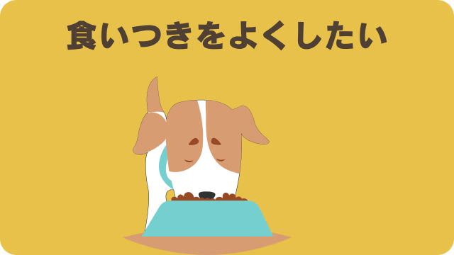 ミシュワン小型犬用とフェイブワン