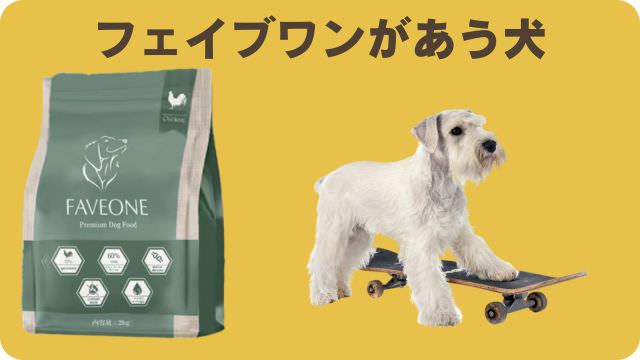 ミシュワン小型犬用とフェイブワン