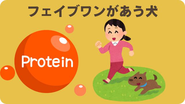 ミシュワン小型犬用とフェイブワン