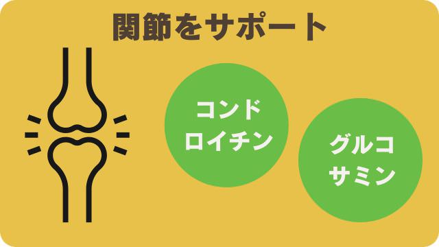 ミシュワン小型犬用とフェイブワン
