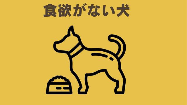 モグキューブ