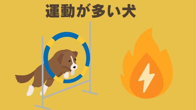 モグキューブ