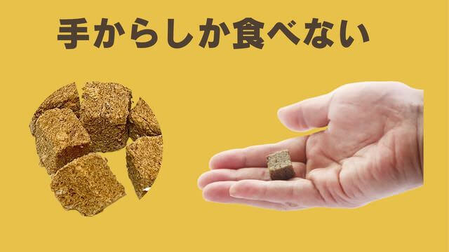 モグキューブ