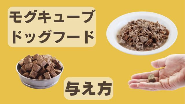 モグキューブ