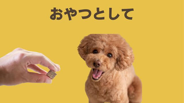 モグキューブ
