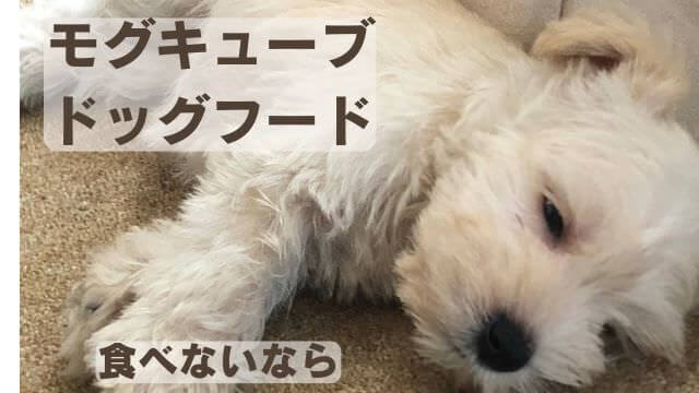 モグキューブ