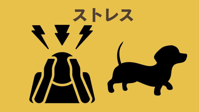 モグキューブ