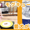 モグキューブ