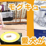 モグキューブ