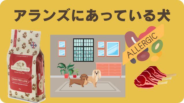 モグワンとアランズナチュラルドッグフードラム