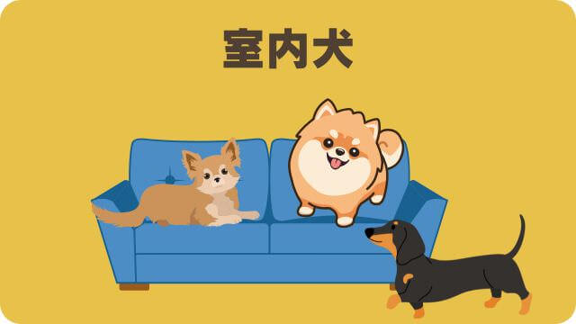 モグワンとアランズナチュラルドッグフードラム