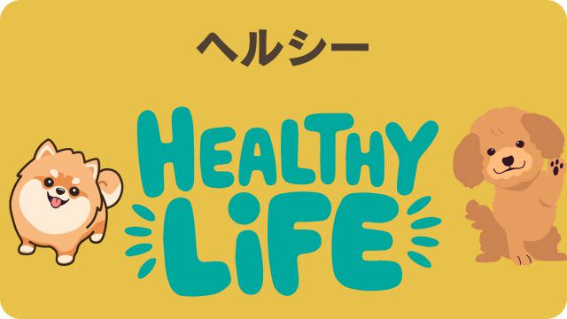 モグワンとアランズナチュラルドッグフードラム