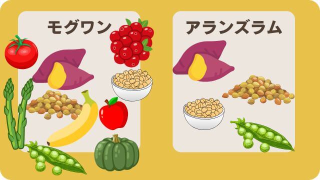 モグワンとアランズナチュラルドッグフードラム