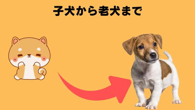 モグワンとカナガンドッグフードチキン