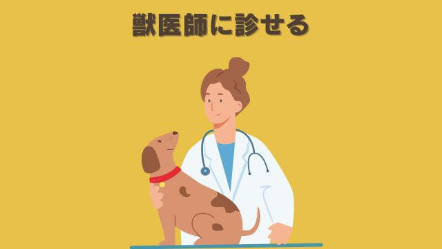 モグワンとカナガンドッグフードチキン