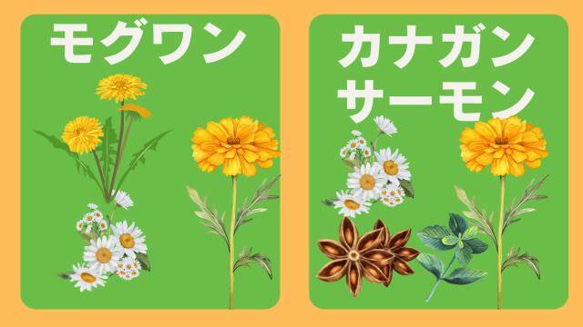 モグワンドッグフードとカナガンサーモン