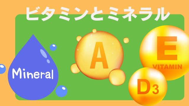 モグワンドッグフードとカナガンサーモン