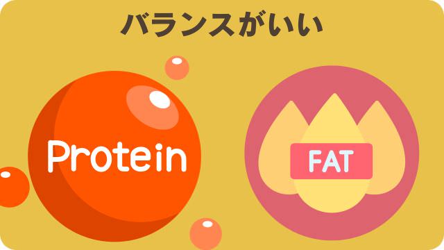 モグワンとフェイブワンドッグフード