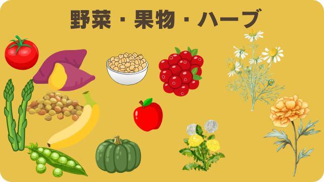 モグワンとフェイブワンドッグフード