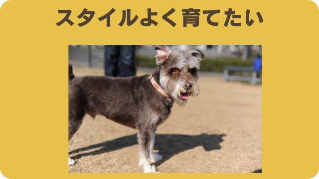 モグワンとフェイブワンドッグフード