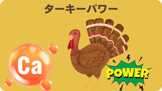 モグワンとフェイブワンドッグフード