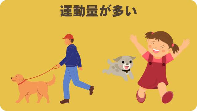 モグワンとフェイブワンドッグフード